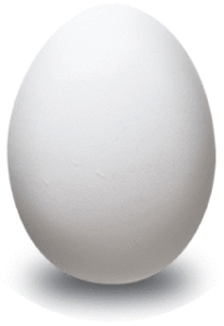 egg