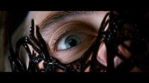 spider